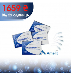 Матеріал Pro Root MTA для закриття перфорацій (Dentsply Maillefer), 0.5 г